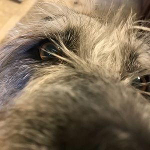 Meet your Posher, Kris